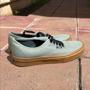 Vans Men's Classic Low-Top Sneakers in Sage Green with Gum Sole